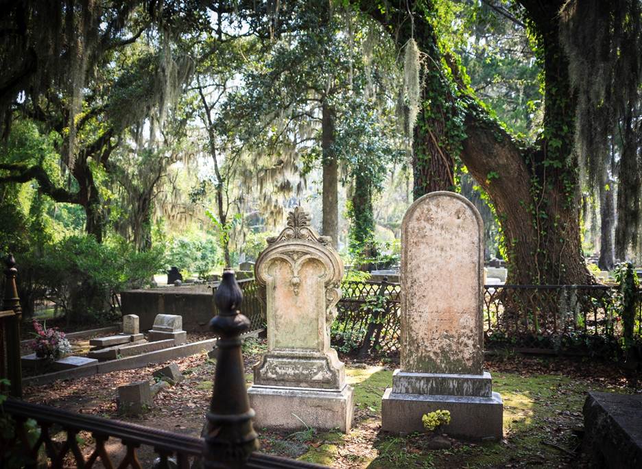 A cemetery with trees and tombstones

AI-generated content may be incorrect.