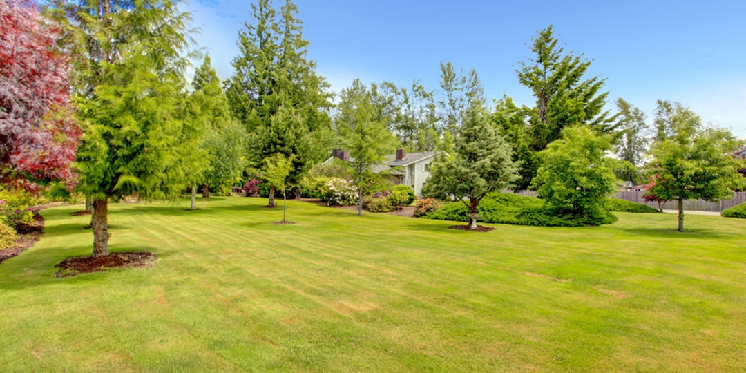 Front yard landscape design