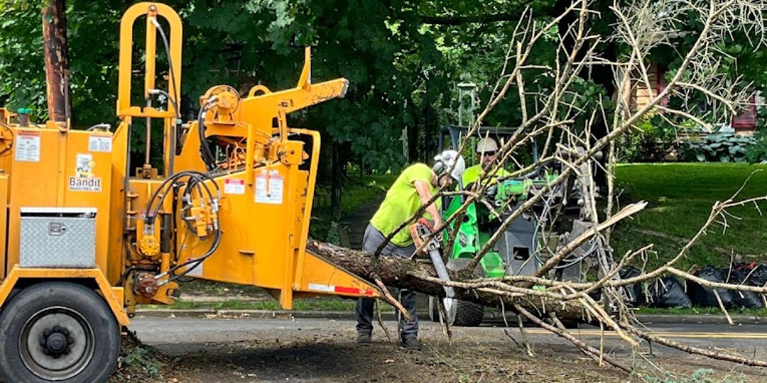 Monster Tree Service