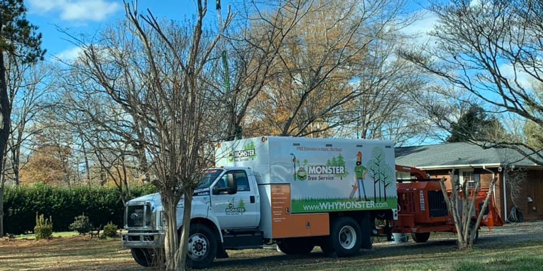 Monster Tree Service Image