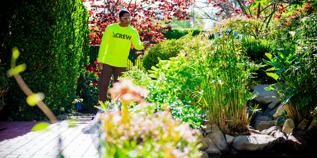 Monster Tree Service Image