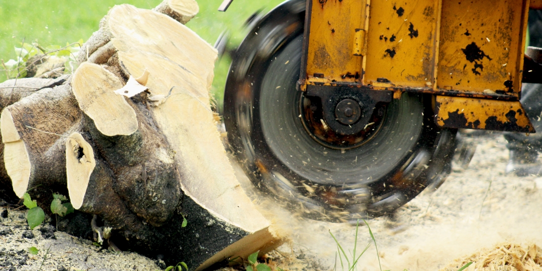 Stump Grinding Machine