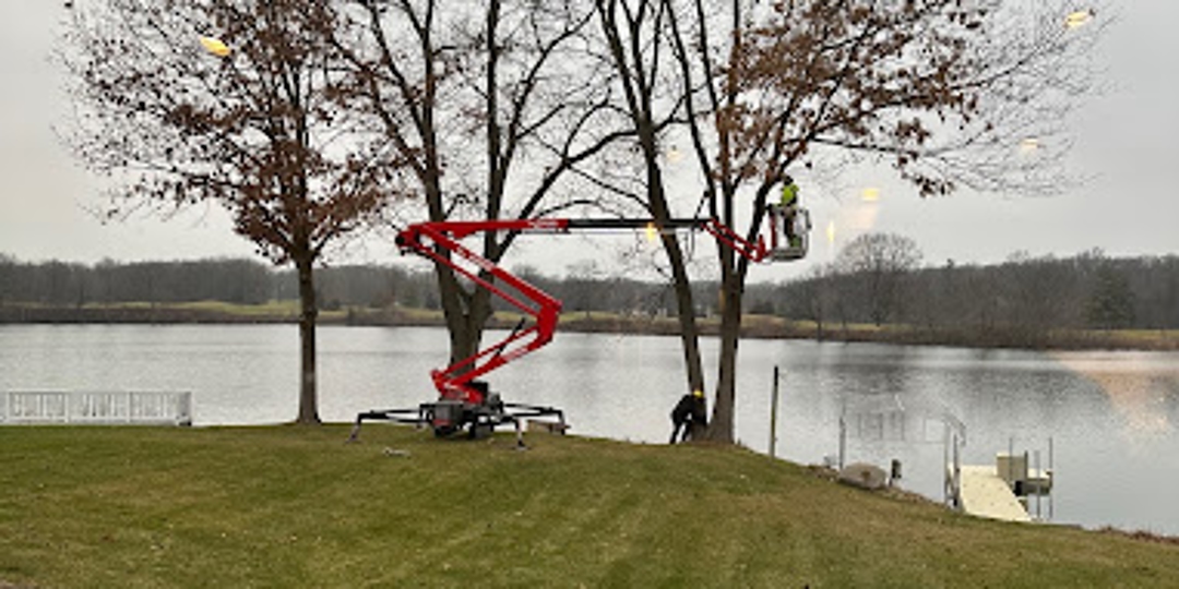 Monster Tree Service Image