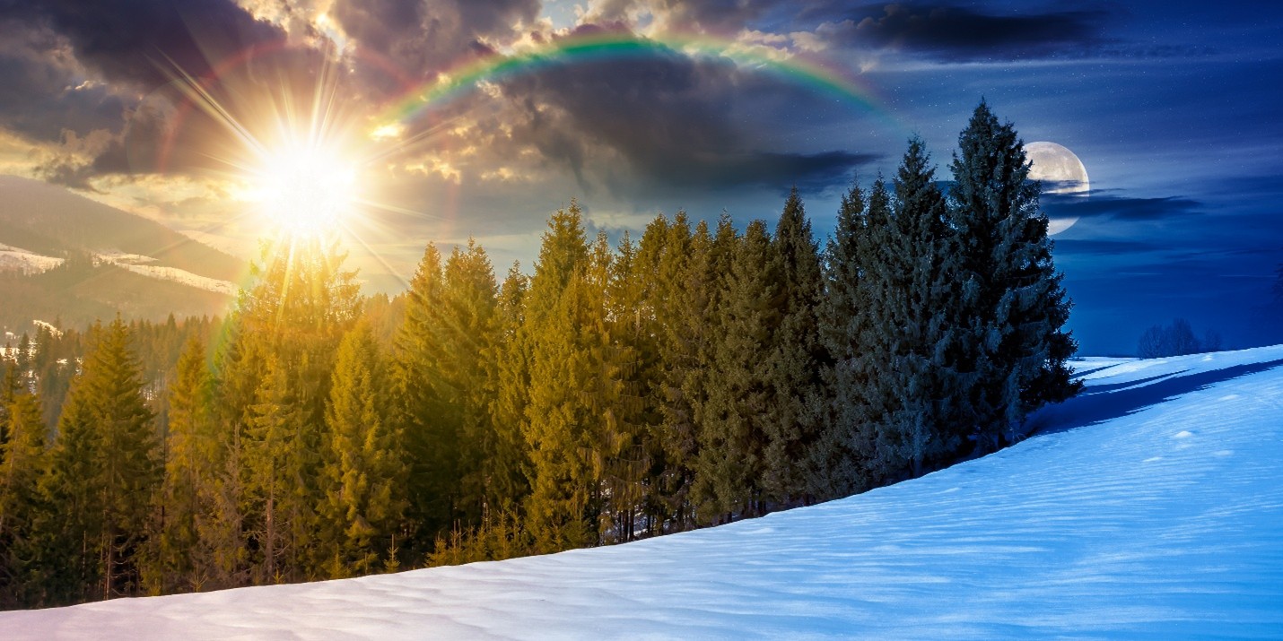 Celebrating the Winter Solstice with Trees and Traditions