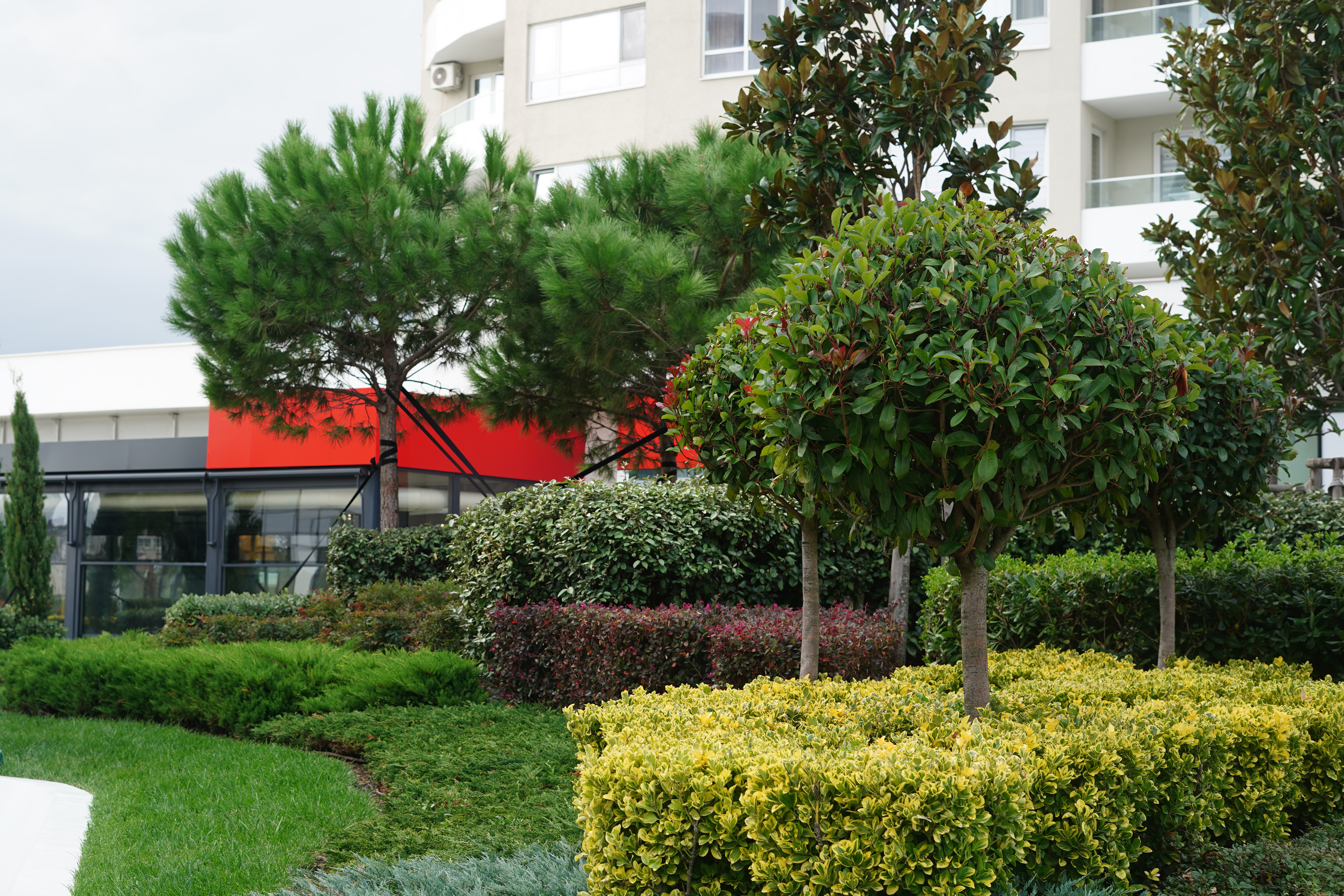 Commercial Shrub Maintenance Services for Northwest Houston Businesses