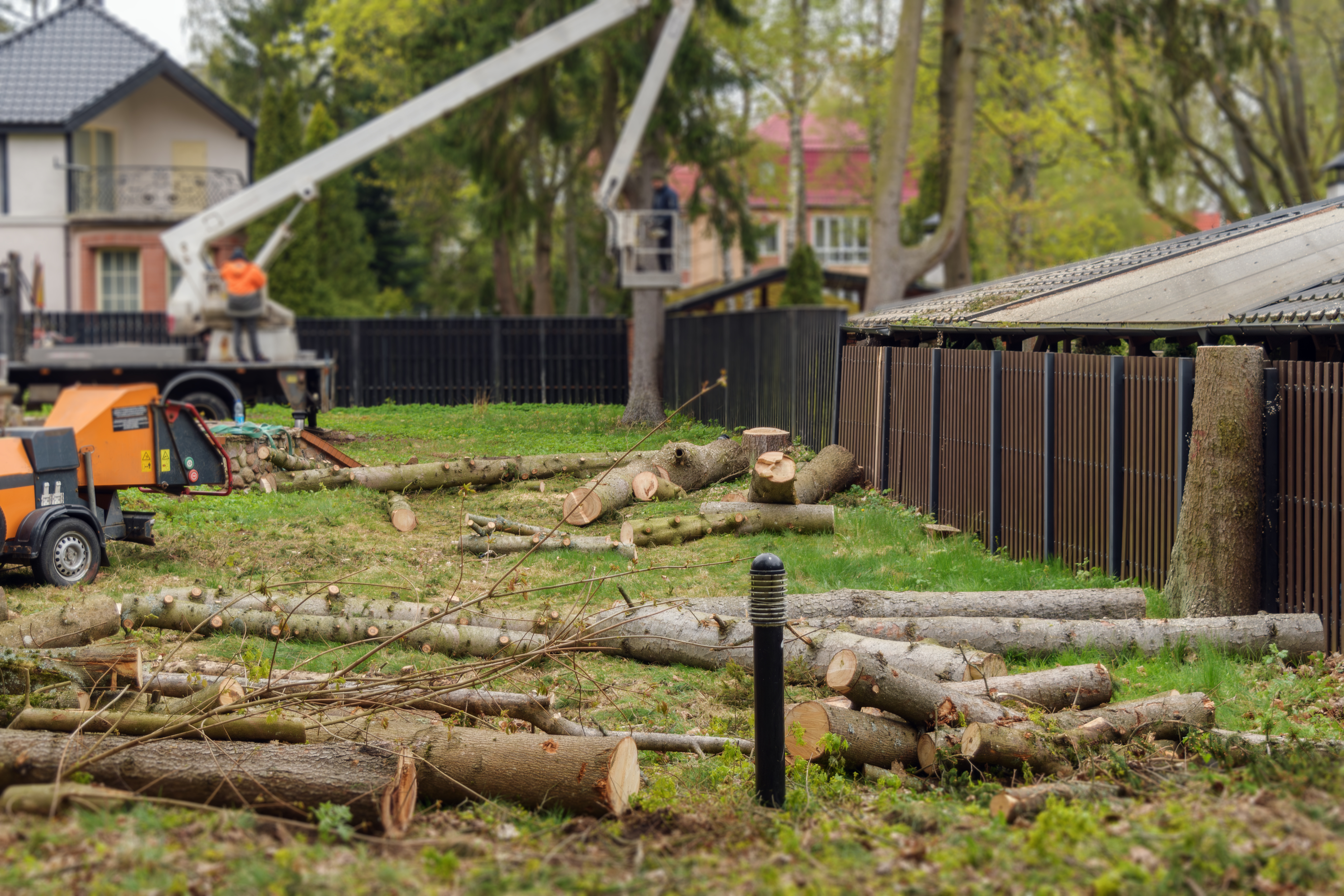 Emergency Tree Removal in Shenandoah, TX